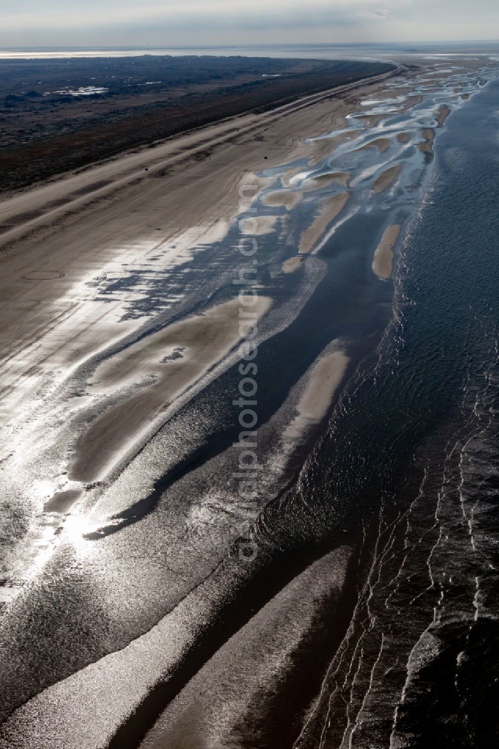Aerial image Fanö - Cars riding on the Beach along the West coast of Northsea island in Fanoe in, Denmark