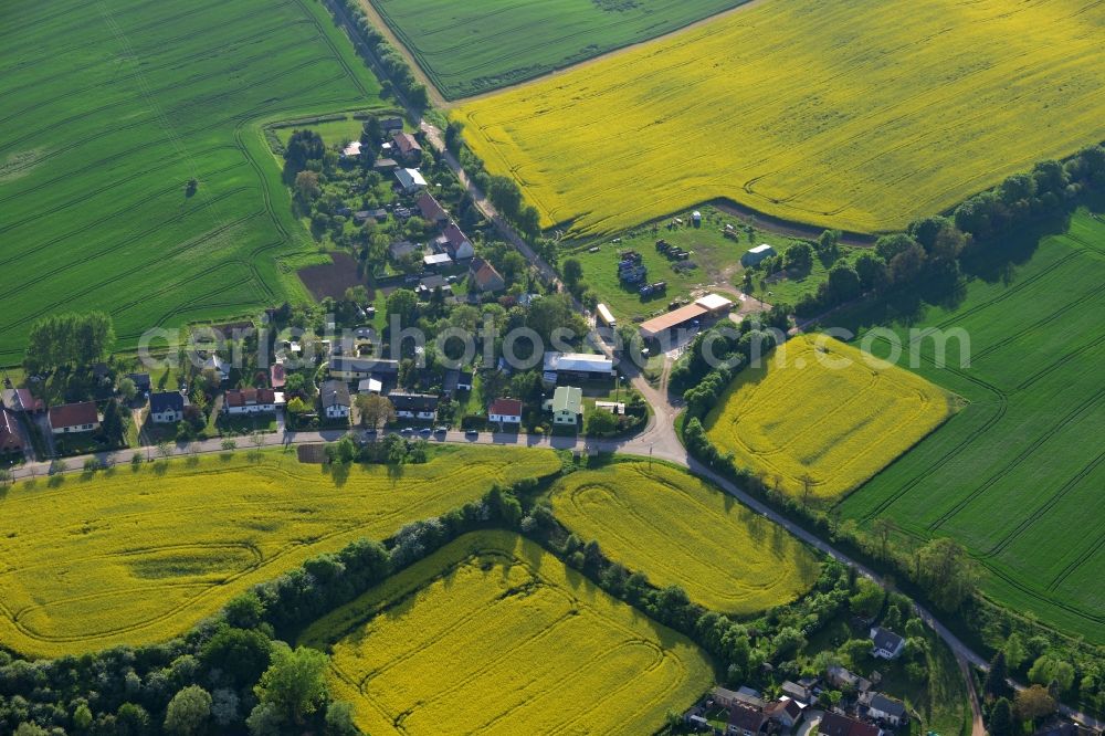 Aerial photograph Wriezen Ortsteil Biesdorf - Surrounded by blossoming yellow canola fields of the village the village Biesdorf, a district of Wriezen in Brandenburg