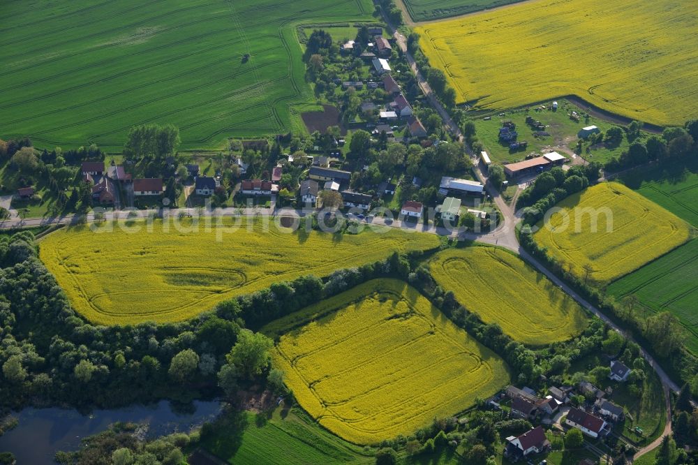 Wriezen Ortsteil Biesdorf from above - Surrounded by blossoming yellow canola fields of the village the village Biesdorf, a district of Wriezen in Brandenburg