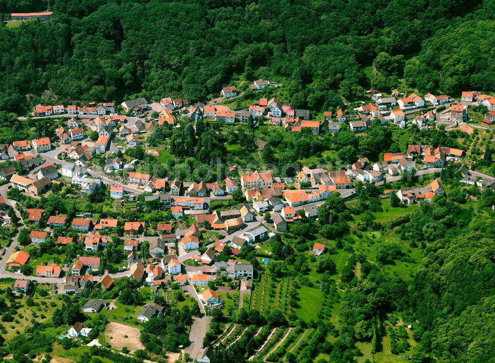 Aerial photograph Dannenfels - Surrounded by forest and forest areas center of the streets and houses and residential areas in Dannenfels in the state Rhineland-Palatinate, Germany