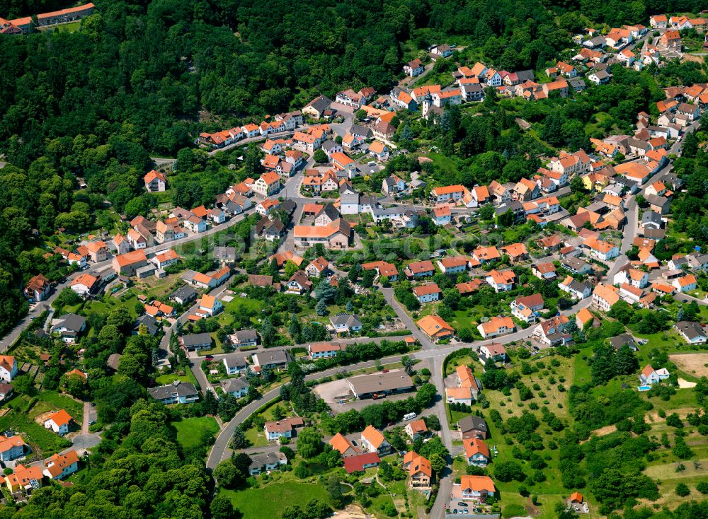 Dannenfels from the bird's eye view: Surrounded by forest and forest areas center of the streets and houses and residential areas in Dannenfels in the state Rhineland-Palatinate, Germany