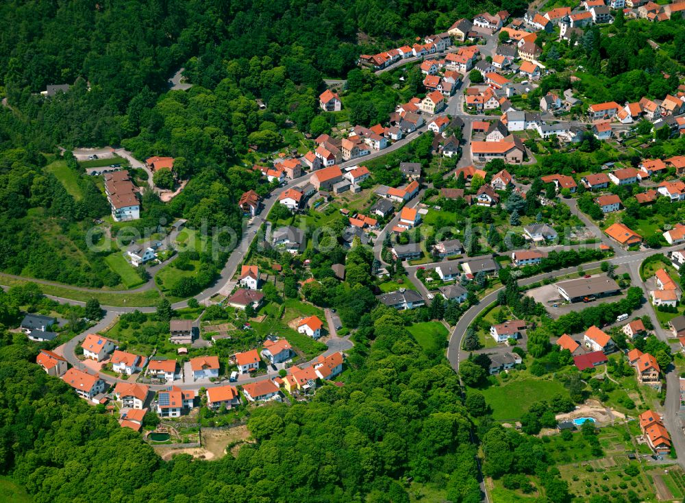 Aerial image Dannenfels - Surrounded by forest and forest areas center of the streets and houses and residential areas in Dannenfels in the state Rhineland-Palatinate, Germany