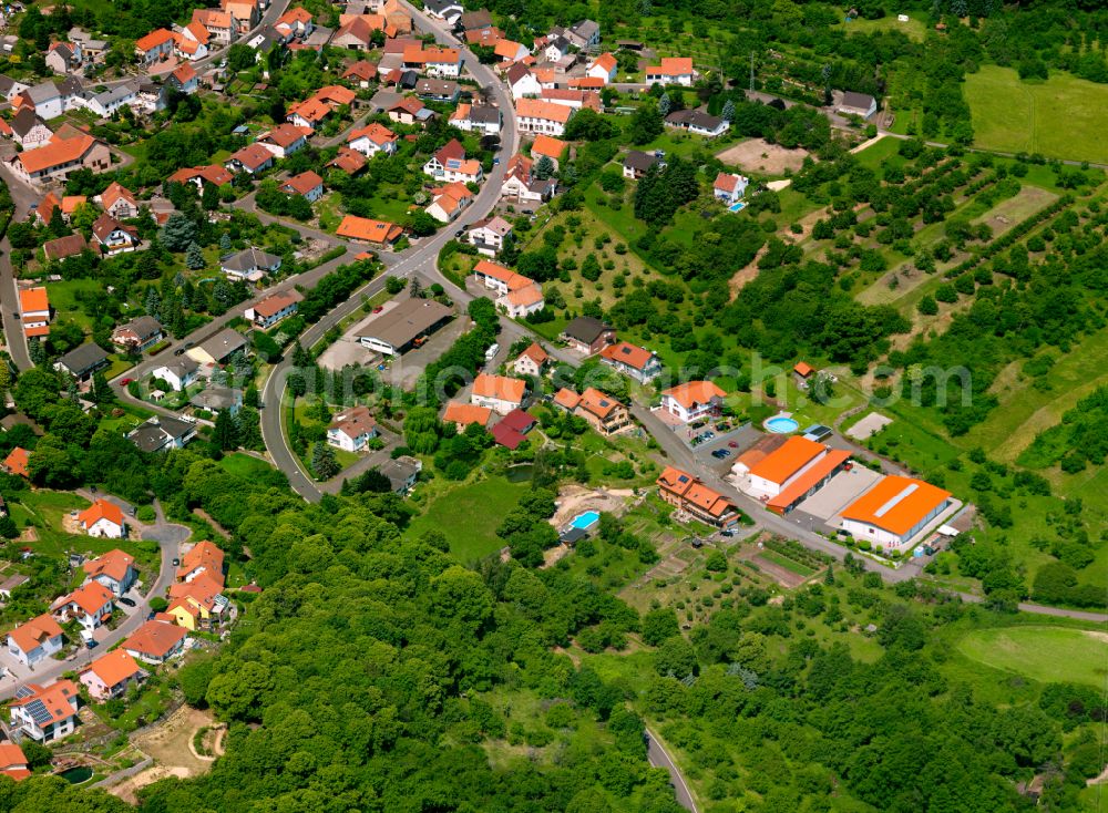 Aerial photograph Dannenfels - Surrounded by forest and forest areas center of the streets and houses and residential areas in Dannenfels in the state Rhineland-Palatinate, Germany