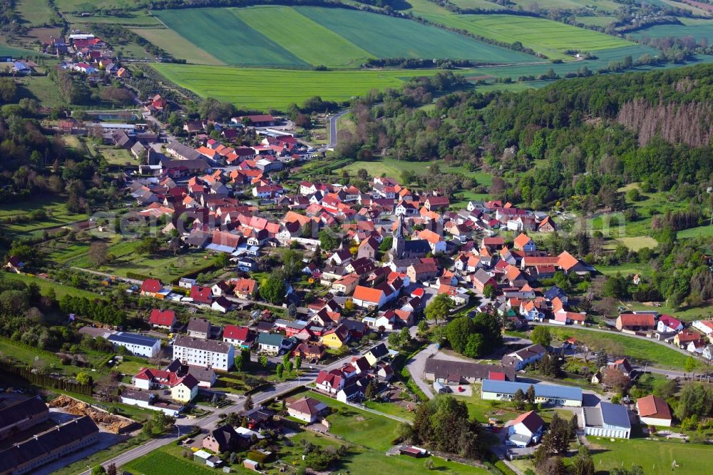 Großleinungen from the bird's eye view: Surrounded by forest and forest areas center of the streets and houses and residential areas in Grossleinungen in the state Saxony-Anhalt, Germany