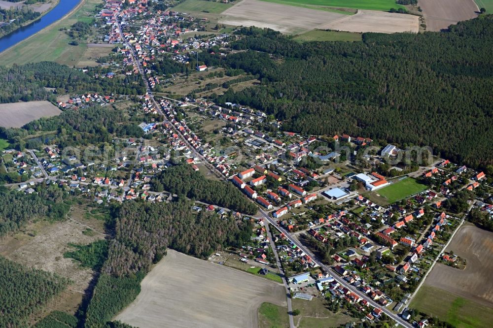 Güsen from the bird's eye view: Surrounded by forest and forest areas center of the streets and houses and residential areas in Guesen in the state Saxony-Anhalt, Germany