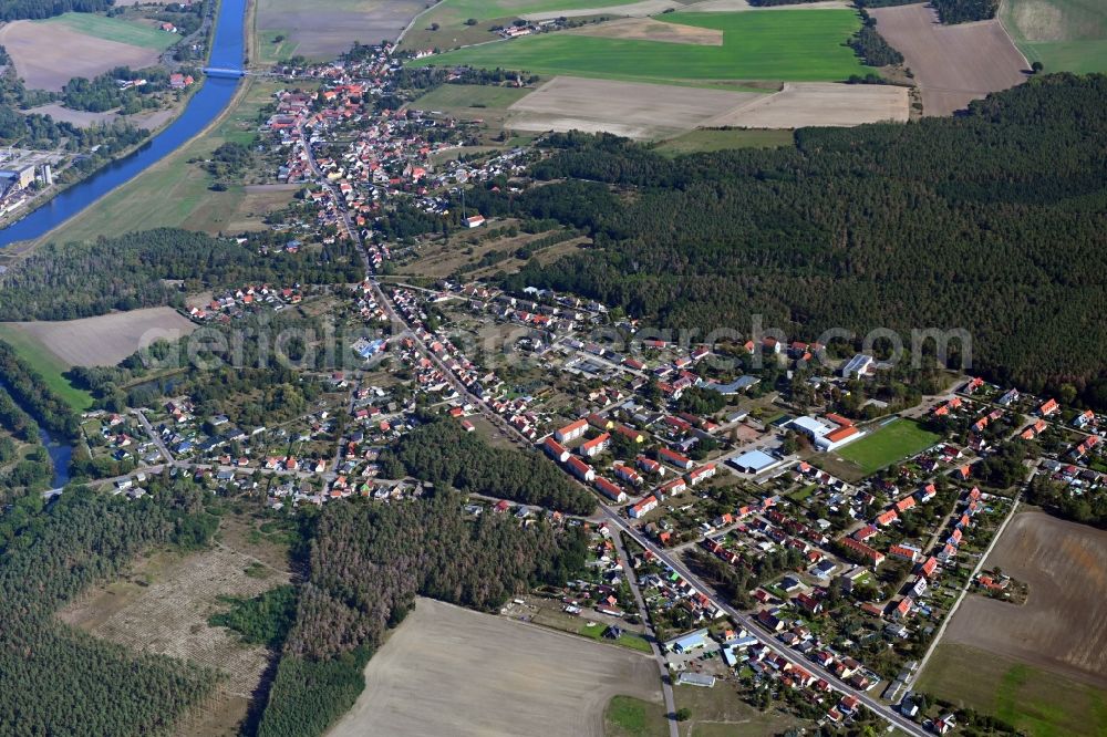Aerial image Güsen - Surrounded by forest and forest areas center of the streets and houses and residential areas in Guesen in the state Saxony-Anhalt, Germany