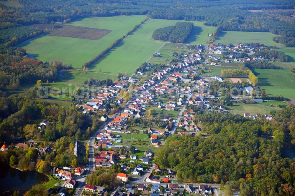 Aerial image Guteborn - Surrounded by forest and forest areas center of the streets and houses and residential areas in Guteborn in the state Brandenburg, Germany