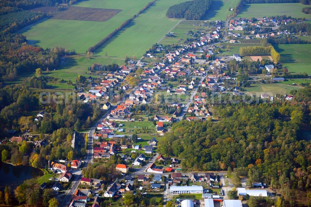 Aerial photograph Guteborn - Surrounded by forest and forest areas center of the streets and houses and residential areas in Guteborn in the state Brandenburg, Germany