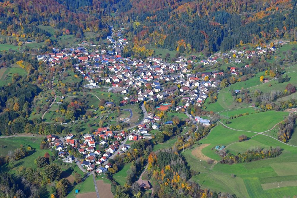 Aerial image Hasel - Surrounded by forest and forest areas center of the streets and houses and residential areas in Hasel in the state Baden-Wuerttemberg, Germany