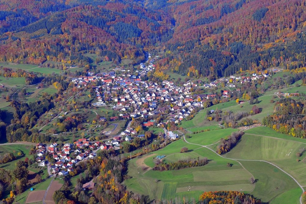 Aerial photograph Hasel - Surrounded by forest and forest areas center of the streets and houses and residential areas in Hasel in the state Baden-Wuerttemberg, Germany