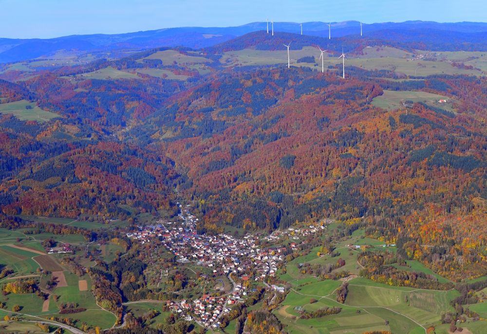Aerial image Hasel - Surrounded by forest and forest areas center of the streets and houses and residential areas in Hasel in the state Baden-Wuerttemberg, Germany