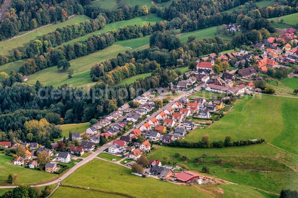 Aerial photograph Horben - Surrounded by forest and forest areas center of the streets and houses and residential areas in Horben in the state Baden-Wuerttemberg, Germany