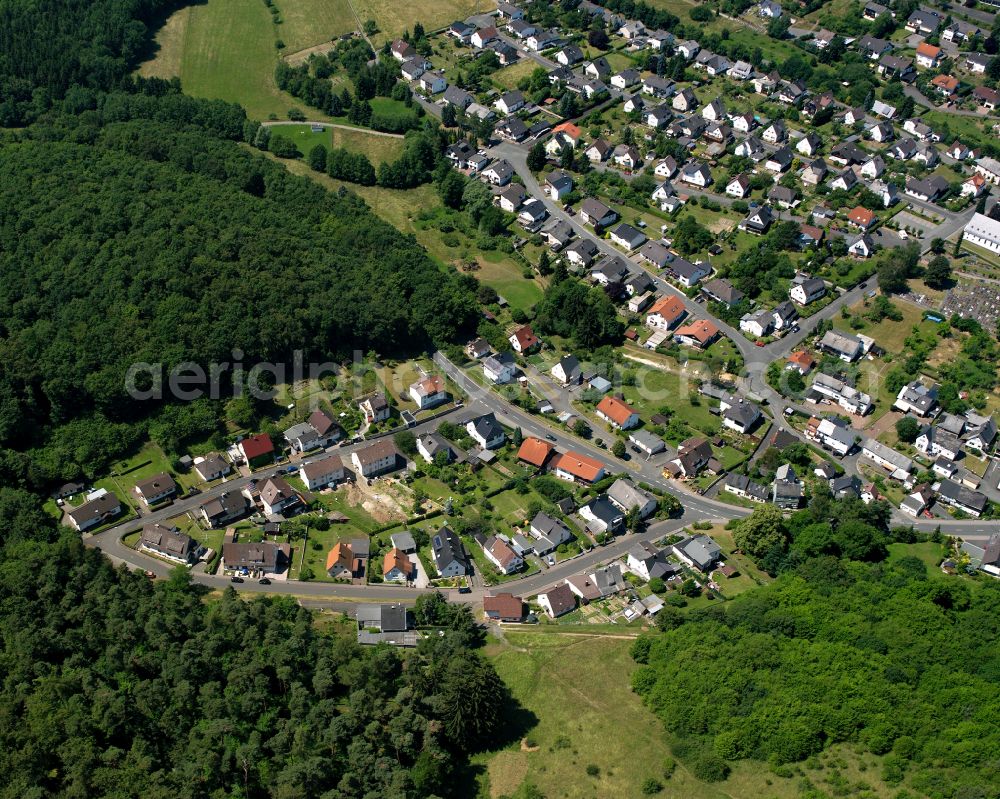 Aerial photograph Merkenbach - Surrounded by forest and forest areas center of the streets and houses and residential areas in Merkenbach in the state Hesse, Germany