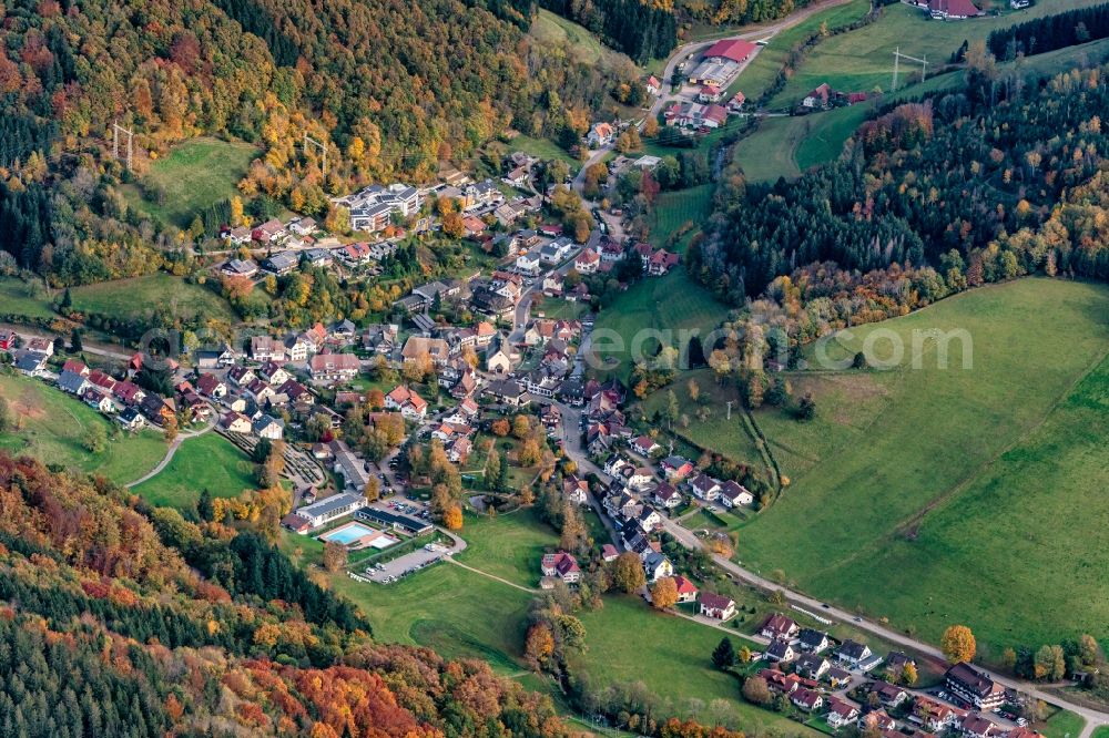 Aerial image Oberprechtal - Surrounded by forest and forest areas center of the streets and houses and residential areas in Oberprechtal in the state Baden-Wuerttemberg, Germany