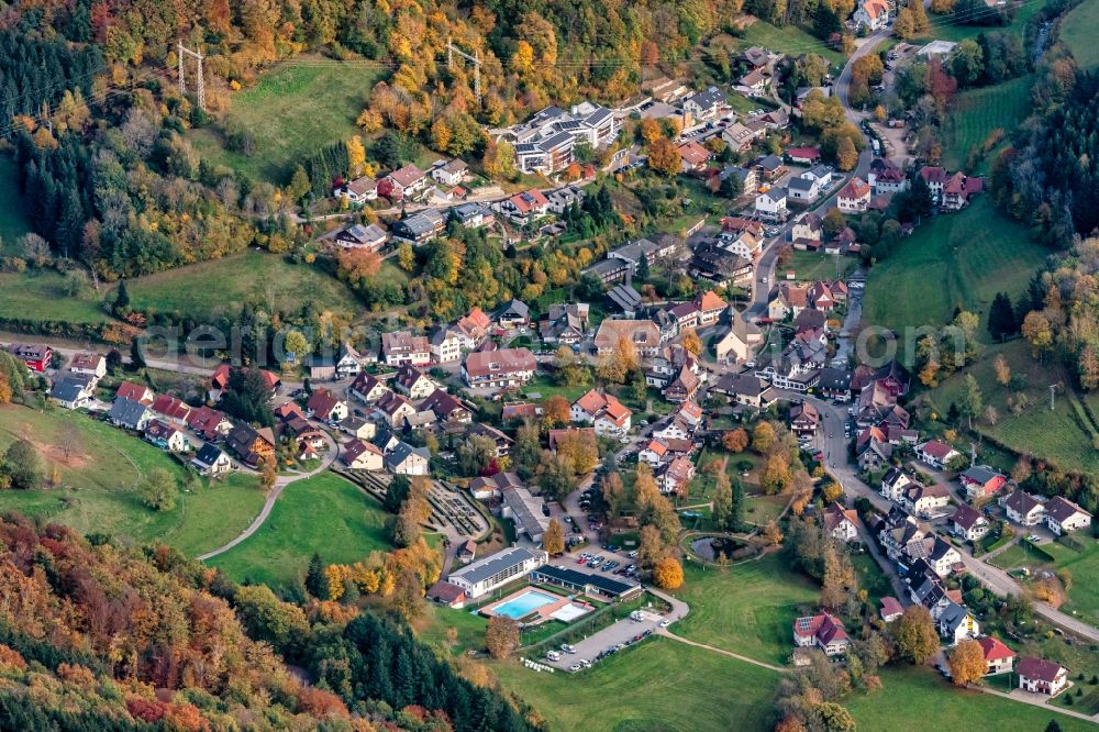 Aerial photograph Oberprechtal - Surrounded by forest and forest areas center of the streets and houses and residential areas in Oberprechtal in the state Baden-Wuerttemberg, Germany