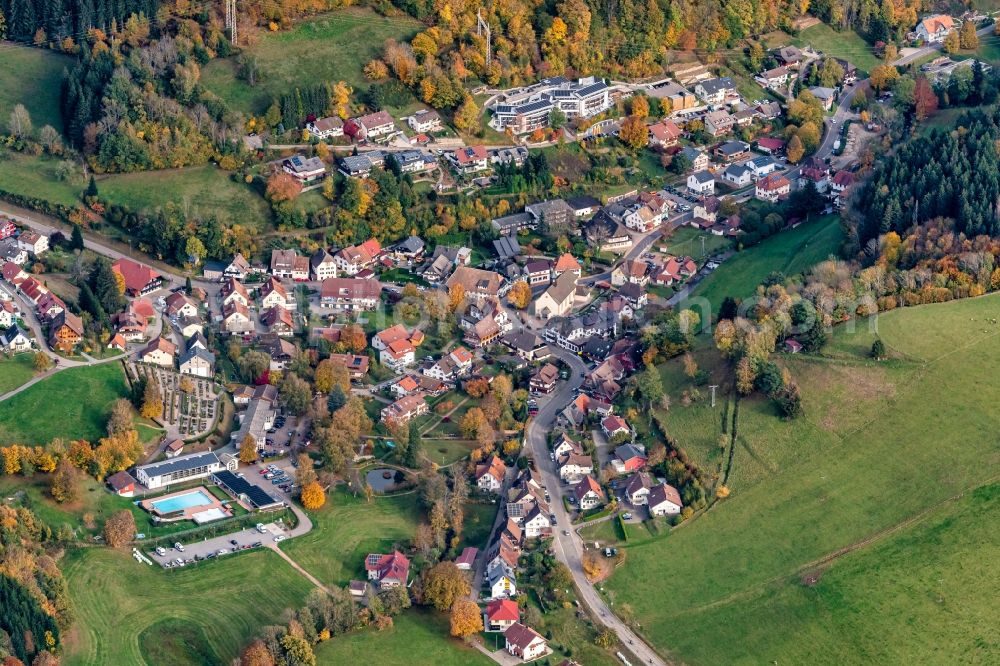 Oberprechtal from above - Surrounded by forest and forest areas center of the streets and houses and residential areas in Oberprechtal in the state Baden-Wuerttemberg, Germany