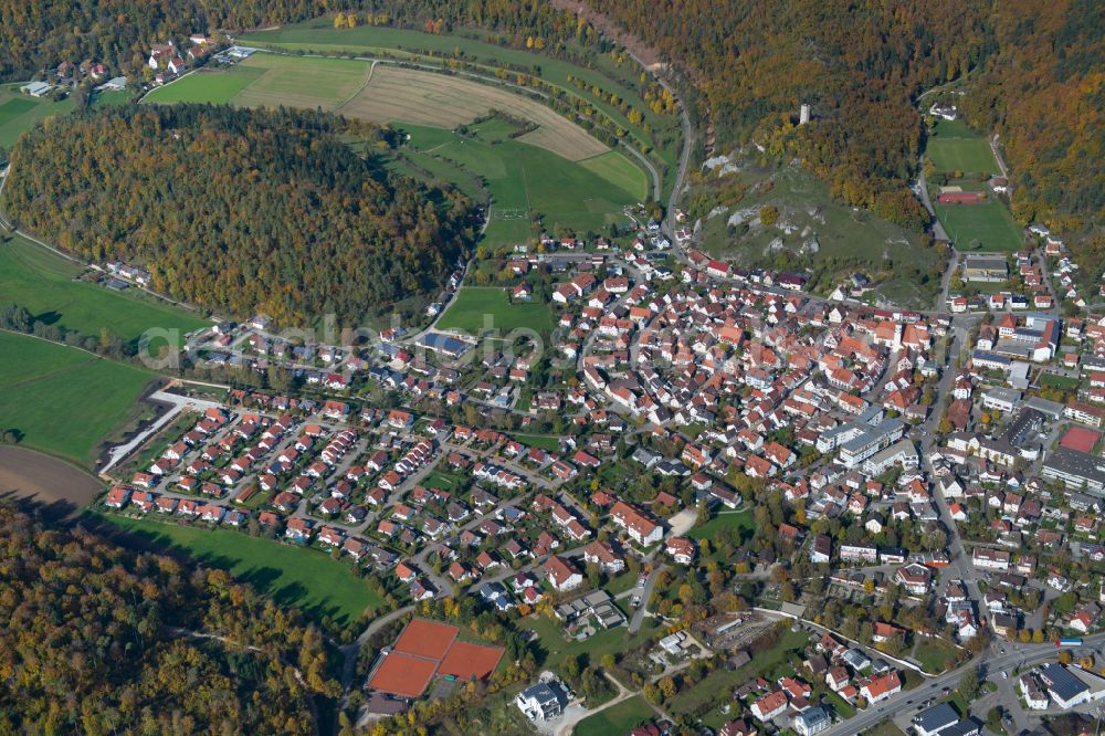Schelklingen from the bird's eye view: Surrounded by forest and forest areas center of the streets and houses and residential areas in Schelklingen in the state Baden-Wuerttemberg, Germany