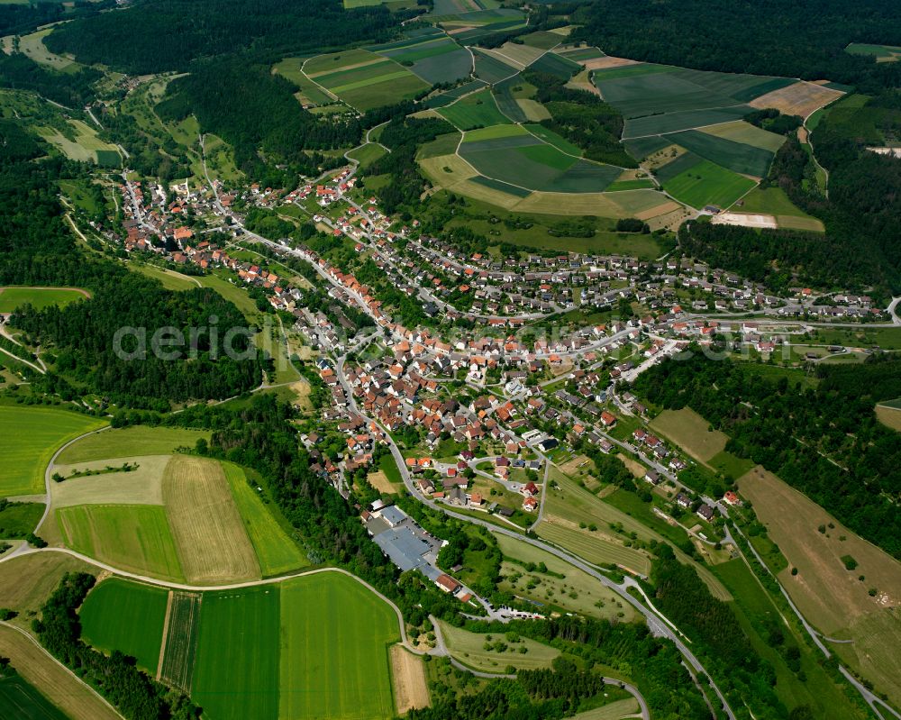 Sulz am Eck from the bird's eye view: Surrounded by forest and forest areas center of the streets and houses and residential areas in Sulz am Eck in the state Baden-Wuerttemberg, Germany