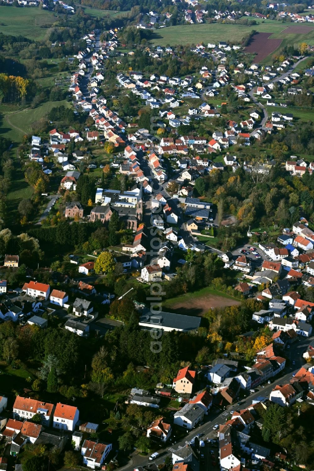 Aerial photograph Wemmetsweiler - Surrounded by forest and forest areas center of the streets and houses and residential areas in Wemmetsweiler in the state Saarland, Germany