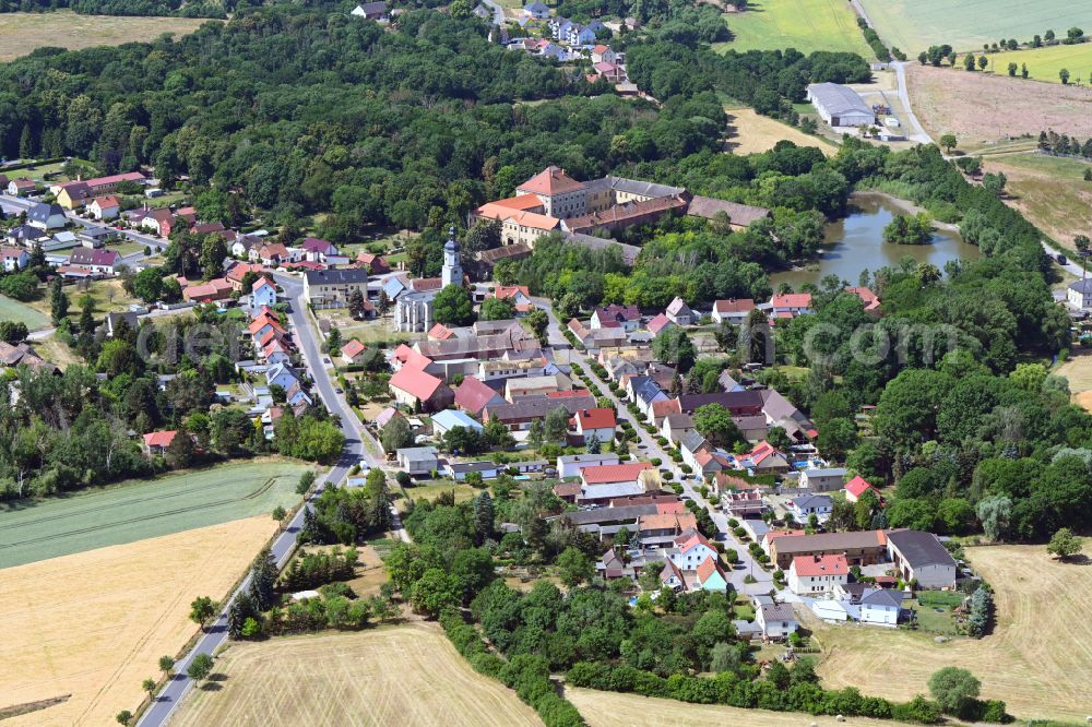 Wölkau from the bird's eye view: Surrounded by forest and forest areas center of the streets and houses and residential areas in Woelkau in the state Saxony, Germany