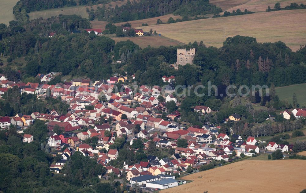 Plaue from the bird's eye view: Urban area with outskirts and inner city area surrounded by woodland and forest areas in Plaue in the state Thuringia, Germany