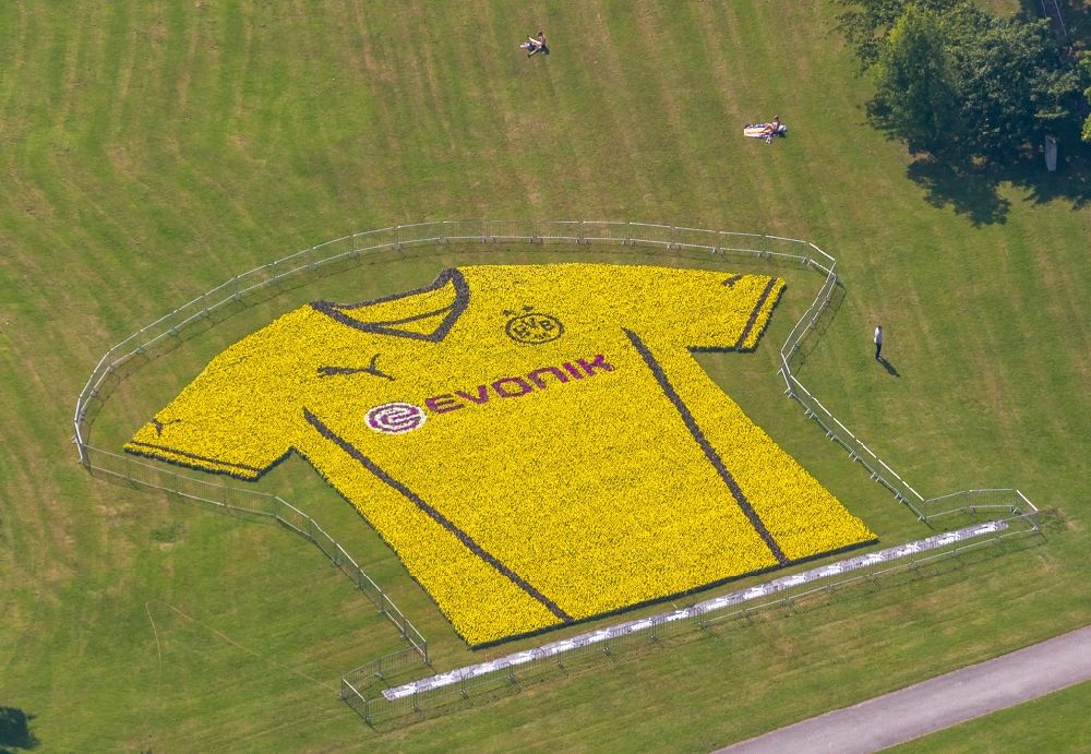 Aerial photograph Dortmund - Presentation of the new jerseys in Westphalia park with views over the television tower Florian in Dortmund in North Rhine-Westphalia