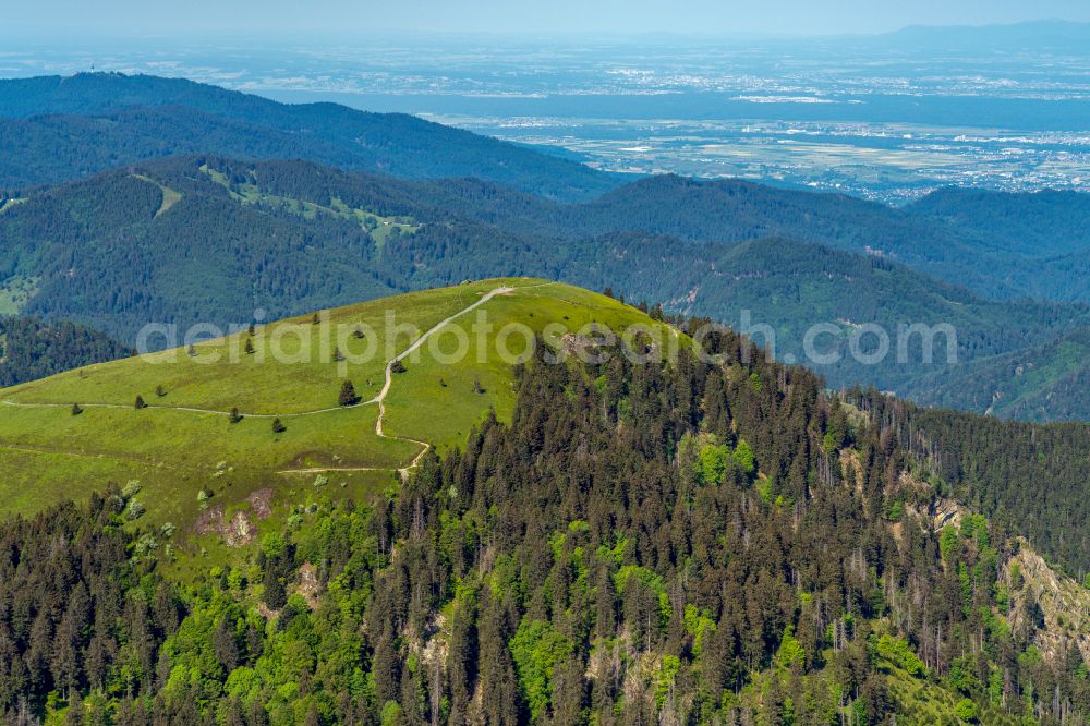 Aerial image Schönenberg - Forest and mountain scenery with summit of Belchen in the Black Forest in Schoenenberg in the state Baden-Wurttemberg, Germany