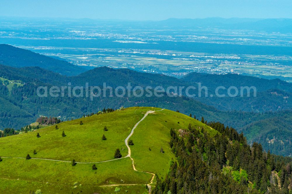 Aerial photograph Schönenberg - Forest and mountain scenery with summit of Belchen in the Black Forest in Schoenenberg in the state Baden-Wurttemberg, Germany