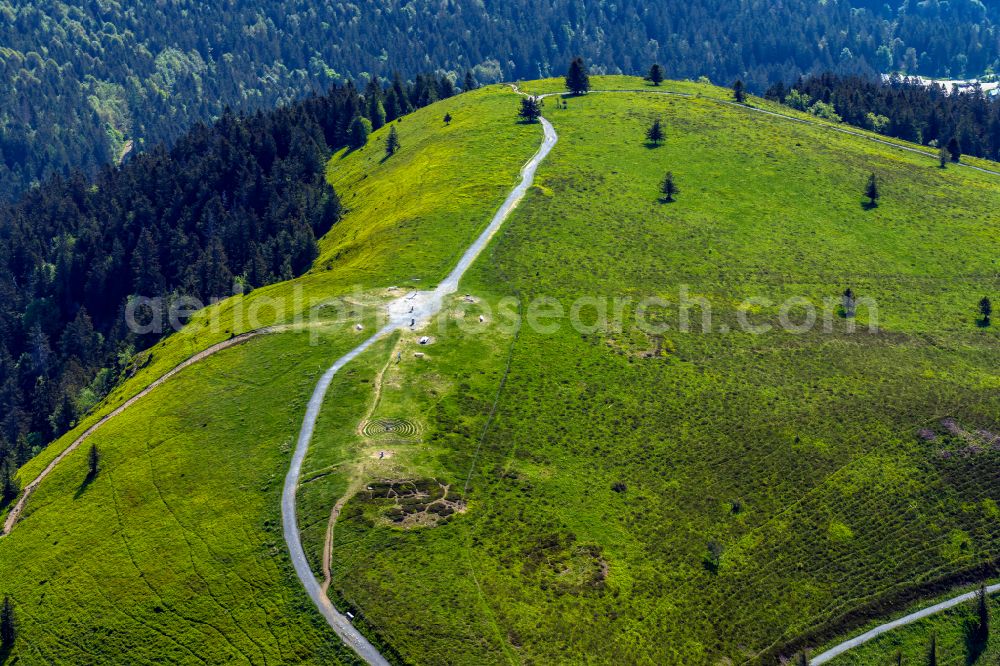 Schönenberg from above - Forest and mountain scenery with summit of Belchen in the Black Forest in Schoenenberg in the state Baden-Wurttemberg, Germany