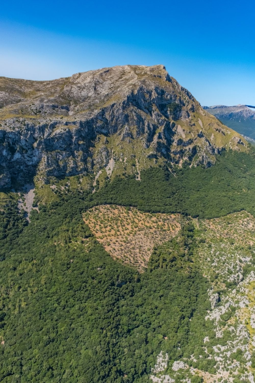 Aerial photograph Pollenca - Forest and mountain scenery with a bare surface in Pollenca in Balearic islands, Spain