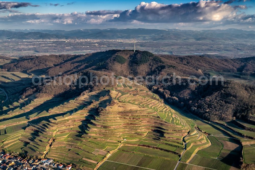 Aerial image Vogtsburg im Kaiserstuhl - Forest and mountain scenery of Kaiserstuhl , with Funkturm in Vogtsburg im Kaiserstuhl in the state Baden-Wurttemberg, Germany