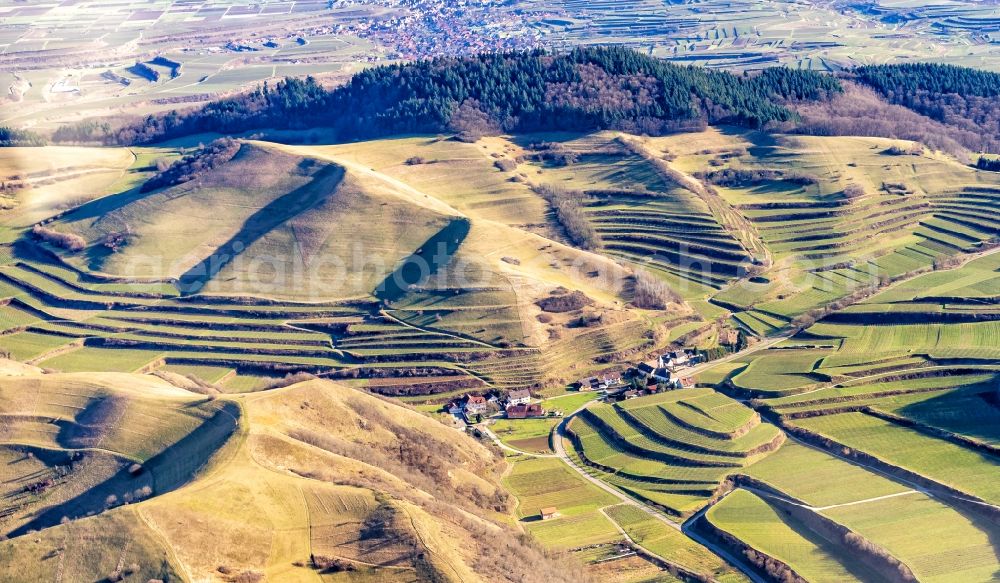 Aerial photograph Vogtsburg im Kaiserstuhl - Forest and mountain scenery on Kaiserstuhl in Vogtsburg im Kaiserstuhl in the state Baden-Wurttemberg, Germany