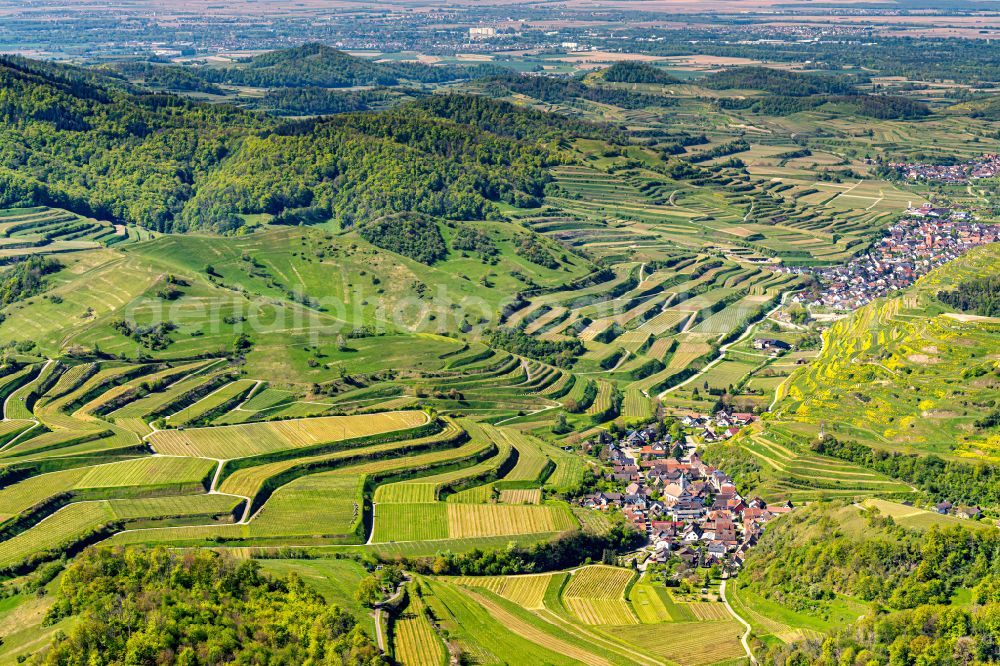 Aerial photograph Vogtsburg im Kaiserstuhl - Forest and mountain scenery and Weinbau on Kaiserstuhl in Vogtsburg im Kaiserstuhl in the state Baden-Wurttemberg, Germany