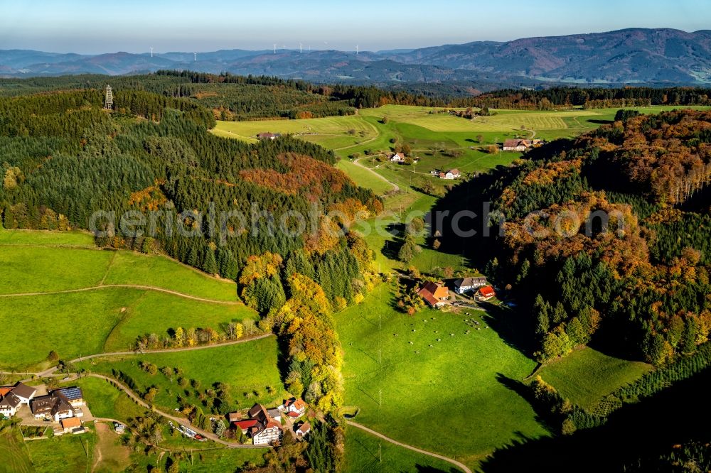 Aerial photograph Freiamt - Forest and mountain scenery Felder with Gehoeften in Freiamt in the state Baden-Wurttemberg, Germany