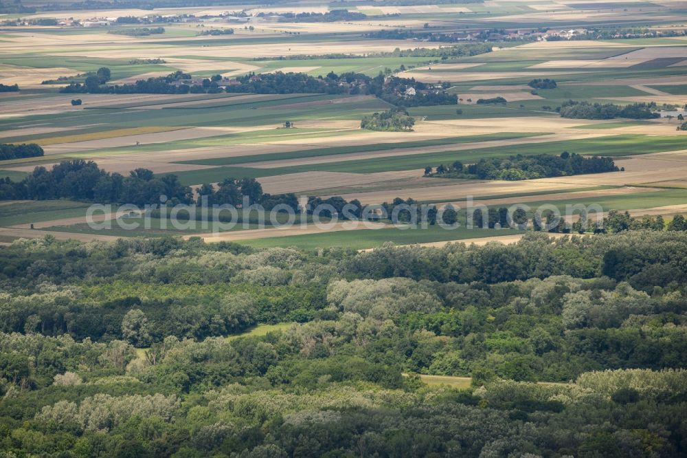 Haslau an der Donau from above - Forest and fields of the landscape of the national park Donau-Auen in Haslau an der Donau in Lower Austria, Austria