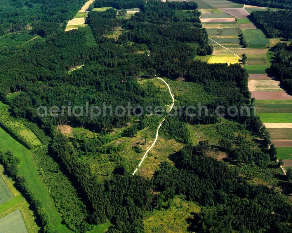 Irlbach from the bird's eye view: Landscape with forest and forest areas and adjacent agricultural fields in Irlbach in the state Bavaria, Germany