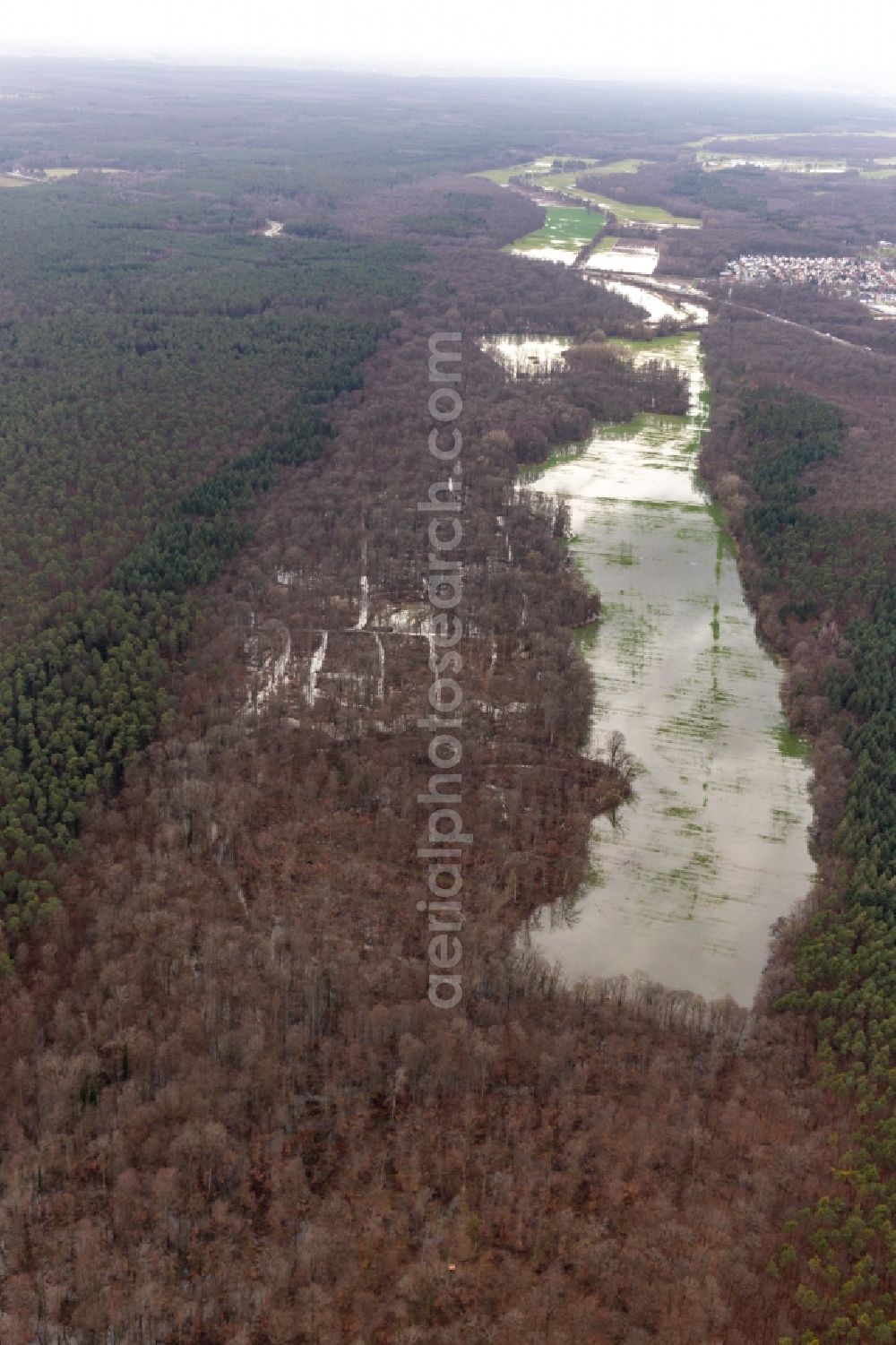 Aerial photograph Kandel - Forest area Bienwald Otterbach with flooded meadows on the A65 in Kandel in the state Rhineland-Palatinate, Germany