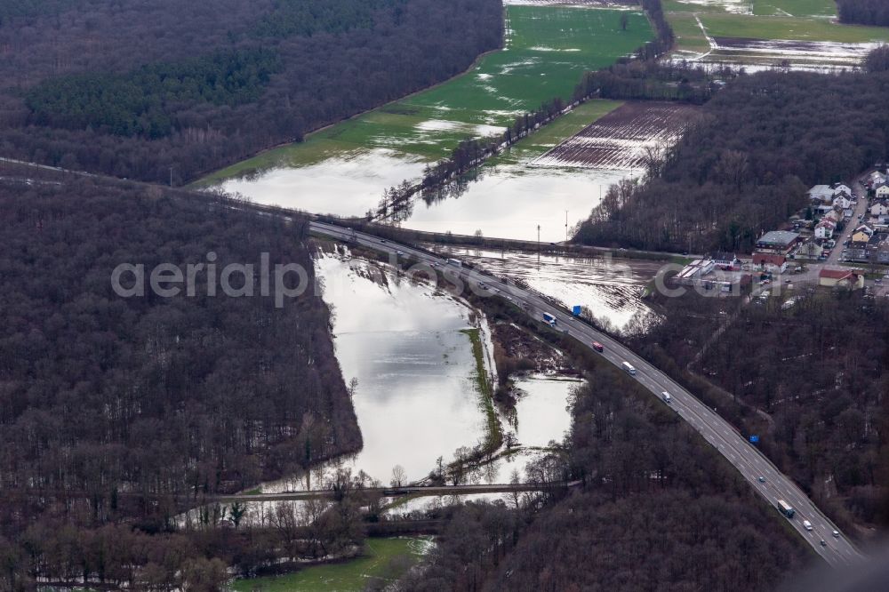 Kandel from above - Forest area Bienwald Otterbach with flooded meadows on the A65 in Kandel in the state Rhineland-Palatinate, Germany