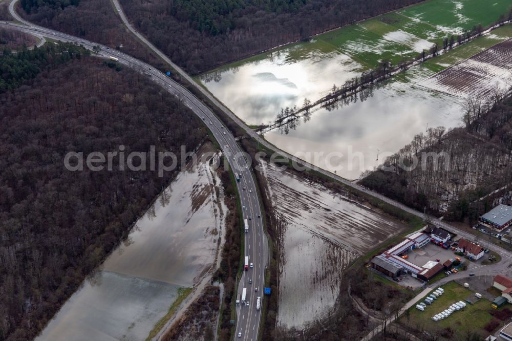 Kandel from the bird's eye view: Forest area Bienwald Otterbach with flooded meadows on the A65 in Kandel in the state Rhineland-Palatinate, Germany