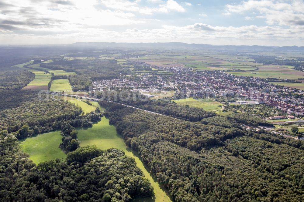 Aerial photograph Kandel - Forest area Bienwald, Otterbachtal in Kandel in the state Rhineland-Palatinate, Germany