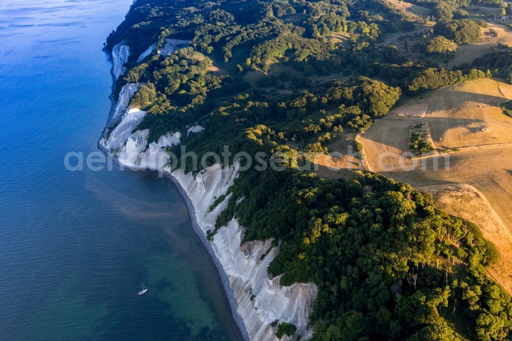 Borre from above - Forests of Moens Klint on the high shores of the Baltic sea in Borre in Region Sjaelland, Denmark