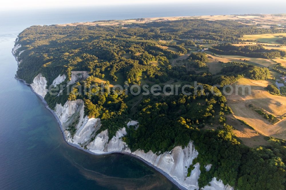 Borre from the bird's eye view: Forests of Moens Klint on the high shores of the Baltic sea in Borre in Region Sjaelland, Denmark