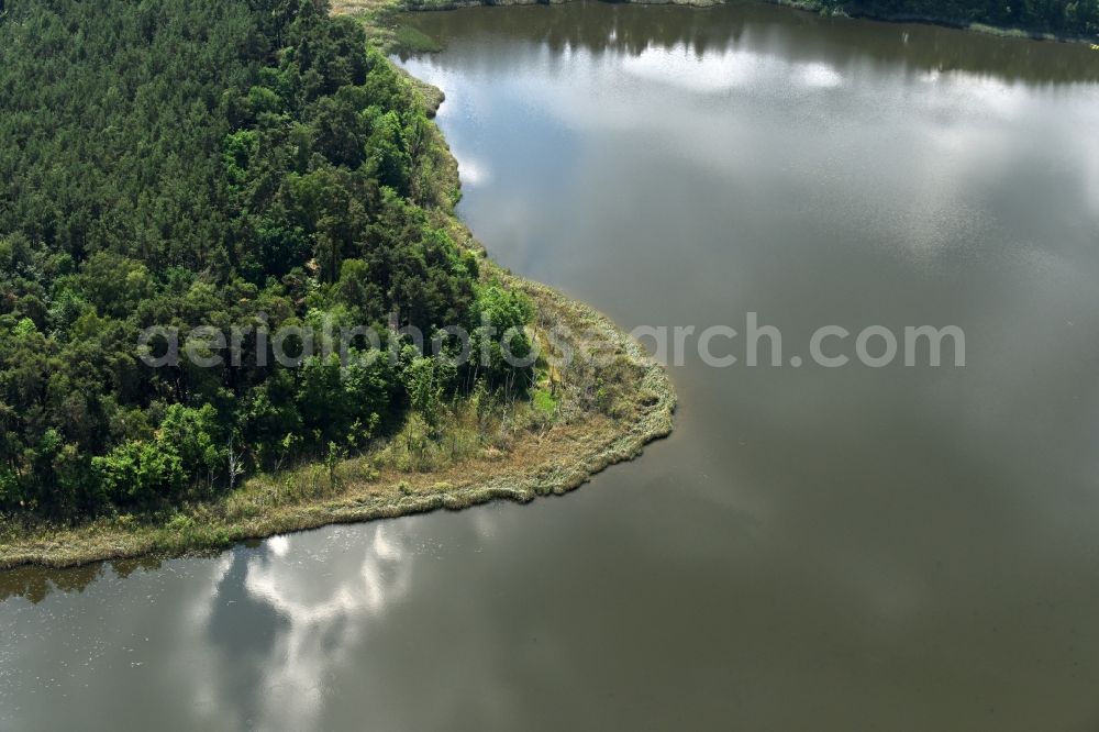 Aerial image Stechlin - Forests on the shores of Koelpin lake in Stechlin in the state Brandenburg