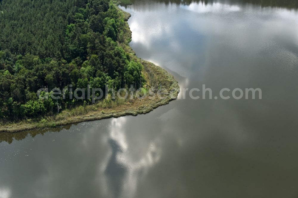 Aerial photograph Stechlin - Forests on the shores of Koelpin lake in Stechlin in the state Brandenburg