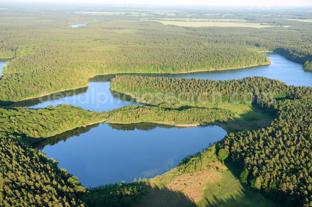 Aerial image Stechlin - Forests on the shores of Nehmitz lake in Stechlin in the state Brandenburg