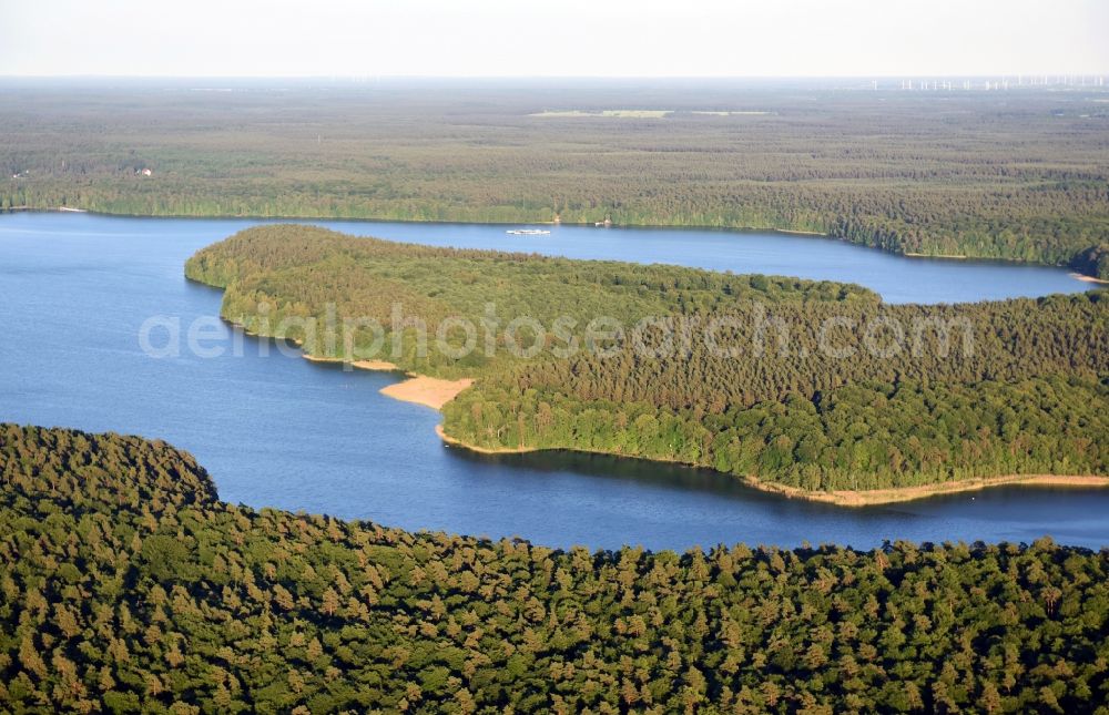 Aerial photograph Stechlin - Forests on the shores of Nehmitz lake in Stechlin in the state Brandenburg