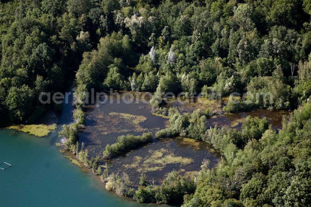 Aerial photograph Opfingen - Forests on the shores of Lake Opfinger See in Opfingen in the state Baden-Wuerttemberg, Germany