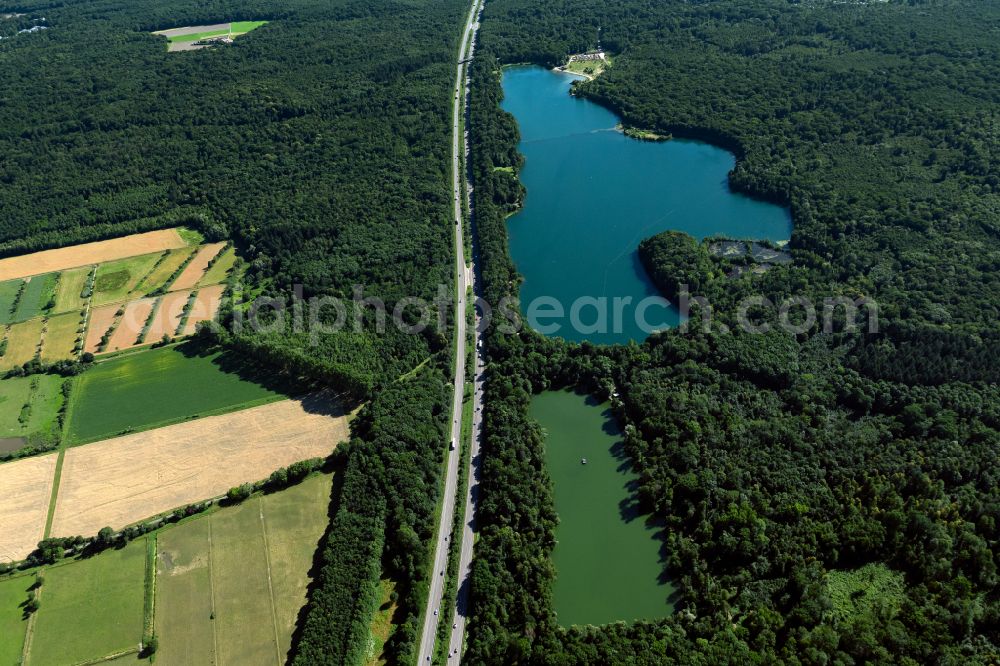 Opfingen from above - Forests on the shores of Lake Opfinger See in Opfingen in the state Baden-Wuerttemberg, Germany