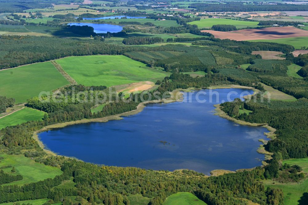 Aerial photograph Kobrow - Forests on the shores of Lake Dannhusener See in Kobrow in the state Mecklenburg - Western Pomerania, Germany