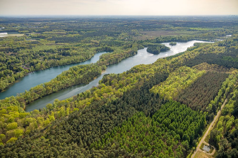 Brüggen from above - Forest areas on the shore of the lake Diergartscher See in the nature reserve NSG Elmpter Schwalmbruch on the road L373 in Brueggen in the federal state of North Rhine-Westphalia, Germany